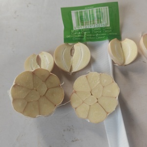 <span class=keywords><strong>Ajo</strong></span> Blanco Fresco Cosecha 2026, 4.5cm, Alta Calidad, Suministro a Granel, Directo <span class=keywords><strong>de</strong></span> Granja, Envío a Congo Brazzaville - Product Image 1