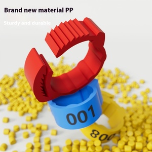 Renda Plastic Gevogelte Voetring Kip/Eend/Ganzenmerk Identificatiering Met Gesp Type Drager Voor Duivenmodel RD-10-588 - Product Image 4