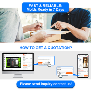 Topwell phục hồi chức năng thiết bị linh kiện nhựa nhà máy sản xuất thiết kế sản phẩm Khuôn hai màu tiêm - Product Image 6