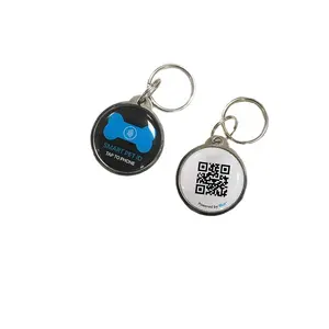 Étiquette d'identification des animaux de compagnie RFID, en époxy, Programmable, NFC, pour chien, Code QR personnalisable, NTAG213