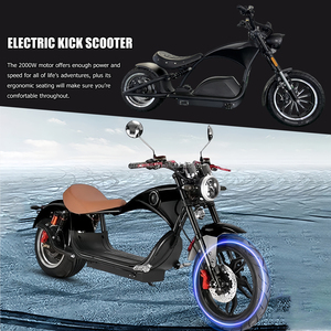 Relación extraíble 60V batería de litio todoterreno motocicleta eléctrica de dos ruedas neumático grueso 25-50 km/h velocidad para motocicleta de Golf - Product Image 5