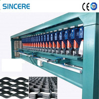 Machine d'extrusion de géocellules texturées en plastique, extrudeuse à vis simple, ligne de production de géosynthétiques lisses en HDPE