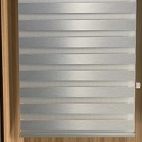 Stores zébrés manuels à cordon, double couche, pour fenêtre, contrôle de la lumière, vente en gros usine