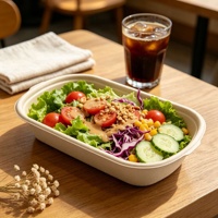 Bagasse U-vormige doos 500ml, voedselveilig, magnetronbestendig, biologisch afbreekbaar, voor maaltijdvoorbereiding, delicatessen, boodschappen, afhaalmaaltijden, milieuvriendelijke voedselverpakking