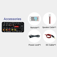 D10-II Mono Ev Amplifikatörü 35W, Radyo DC12V/24V AC220V USB TF Çift MIC Girişi Uzaktan Kumanda ile