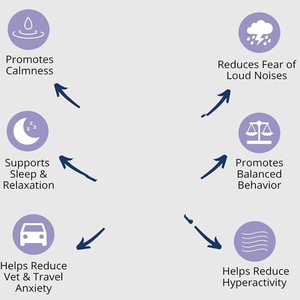 Polvo calmante personalizado, suplemento para mascotas, cuidado de la salud, comida seca para perros, tratamiento para gatos, picaduras calmantes naturales, alivio de la ansiedad y el estrés - Product Image 2