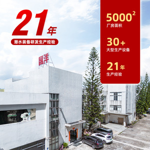 Snorkel Diving Equipment Two <b>Windows</b> Tempered Glass Anti Fog Silicone Adult Water Sports - Product Image 3