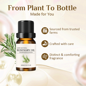 Aceite Esencial de Romero al por Mayor para la Fabricación de Productos Aromáticos y Uso Diario - Product Image 4