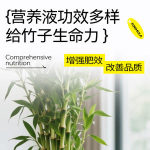 Solution nutritive liquide de <span class=keywords><strong>bambou</strong></span> Quick Purity, <span class=keywords><strong>engrais</strong></span> biologique pour orchidées Phalaenopsis - Product Image 3