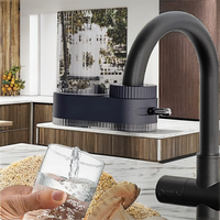 Filtre purificateur de robinet de cuisine en plastique transparent personnalisé, à charbon actif manuel, élimine le chlore, 800 utilisations domestiques