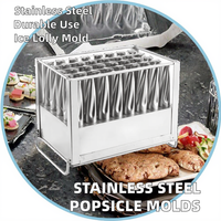 Moules à Popsicle Ataforma brésiliens en acier inoxydable 304 Nouvelle condition pour la fabrication de sucettes glacées à base de fruits