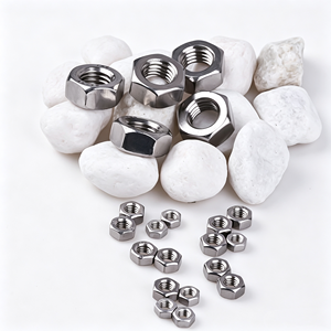 Écrou hexagonal en acier inoxydable DIN934, anti-rouille, pour la construction et la connexion d'équipements – Offre Spéciale - Product Image 6