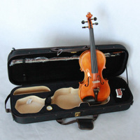 Well-crafted Musical Instruments Hand Painting Violin With Spruce Top With Flame Maple Back and Scroll Ebony Finger Board