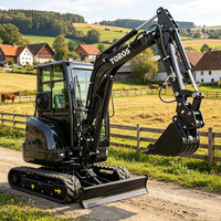 Prix de Gros Promotionnel : Excavatrice Compacte sur Chenilles 1,8 Tonne et 3,5 Tonnes avec Moteur Yanmar pour Aménagement Paysager et Travaux Agricoles