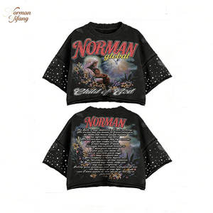 Camiseta de Algodón Puro con Cuello Redondo, Estilo Hip-Hop Y2K, Diseño Urbano Holgado de Manga Corta, Personalizada - Product Image 1