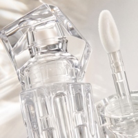 Teinte à lèvres hydratante effet repulpant et brillant, personnalisable OEM/ODM
