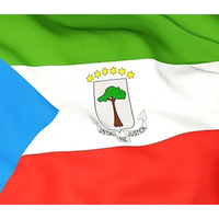 Logo personnalisé 100% polyester Décoration extérieure promotionnelle Banderas De Paises Drapeau équin de Guinée équatoriale