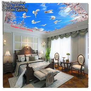 Material de Decoración de Interiores Impermeable para el Hogar, Diseño de <span class=keywords><strong>Cielo</strong></span> con Palomas, Techo Extensible de <span class=keywords><strong>PVC</strong></span> Plástico para Sala de Estar, Cocina, Pasillo - Product Image 1