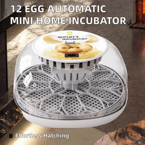 Nueva Incubadora <span class=keywords><strong>de</strong></span> Huevos Automática <span class=keywords><strong>de</strong></span> Alta Calidad para 12 Huevos, Mini Incubadora para Uso Doméstico <span class=keywords><strong>de</strong></span> Pollos, Patos, Palomas y Codornices, con 1 Año <span class=keywords><strong>de</strong></span> Garantía - Product Image 2