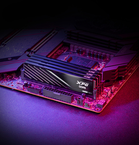Módulos de Memoria XPG DDR5 D300 16G 6000MHz para Ordenador de Escritorio - Product Image 3