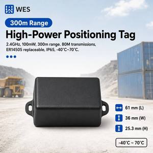 Manufacturer 2.4GHz 100mW Long-Range <b>Tag</b> 300m 80M TX 5-Year IP65 -40°C Replaceable Battery for Asset Vehicle Personnel Tracking - Product Image 1