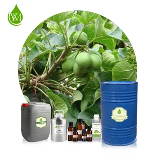Wholesale Price Essential Oil New For Cosmetics/Massage Neem Oil