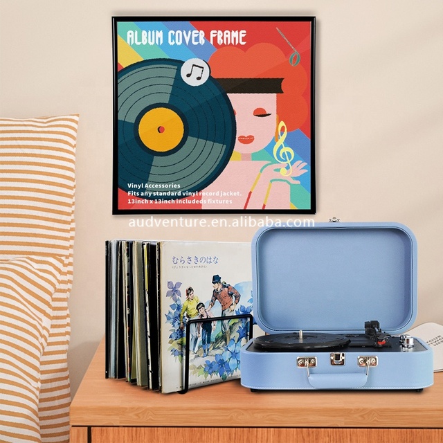 Wall Mounted Vinyl Record Storage Photo Frame Storage Dustproof