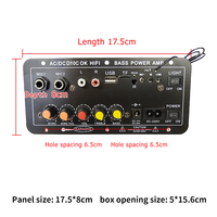 D10C 30W Şarj Edilebilir HiFi Amplifikatör Kartı, Ev KTV'si için Karaoke Mikrofonlu USB TF Uzaktan Kumandalı