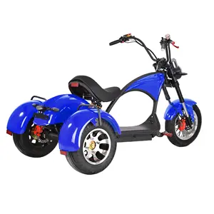 Mavi renk iyi görünüm üç tekerlekli 2000W helikopter modeli M3 hızlı hızlı elektrikli scooter yetişkin Citycoco