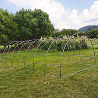 Kit de serre agricole verte de 8 m avec structure métallique, protection UV, facile à assembler pour la culture de tomates dans la cour