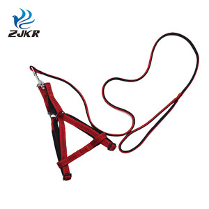 TC1108 vente en gros de produits innovants <span class=keywords><strong>pour</strong></span> animaux de compagnie <span class=keywords><strong>pour</strong></span> le jardin de la maison bandes de <span class=keywords><strong>laisse</strong></span> élastiques <span class=keywords><strong>pour</strong></span> <span class=keywords><strong>chien</strong></span> et ensemble de colliers - Product Image 1