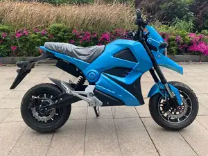 12inch 3000 Watt Fast Scooter Electric Super Motorcycle 70km/h Eec Coc