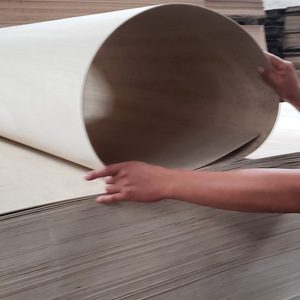 Suministro Directo de Fábrica: Tableros de Madera de <span class=keywords><strong>Paulownia</strong></span> Multicapa Curvados de 12-15mm, Grado Mueble, E0 - Product Image 2