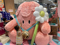 Costume de mascotte de dessin animé en peluche gonflable personnalisé fête publicité vêtements pour animaux adulte