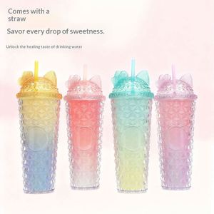 Hot-Selling Cross-Border Influencer-Style Leak-Proof Double-Layered <b>Large</b> Capacity Modern Minimalism Design Plastic Straw <b>Cup</b> - Product Image 1