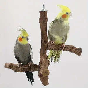 Parrot Perch Stands Birds Stand Pole Natural Wild Grape Stick Grinding Paw Climbing Standing Cage Accessories Toy Branches