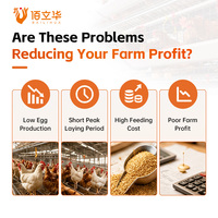 Additif alimentaire pour poules pondeuses pour une période de ponte optimale et une performance de production accrue