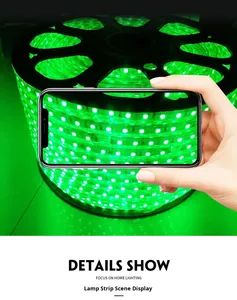 RGB 5050 IP65 Không Thấm Nước RGB <span class=keywords><strong>LED</strong></span> Strip Ánh Sáng 16 Màu Sắc Sợi Dây Thừng Chiếu Sáng Với Điều Khiển Từ Xa 220V / 110V - Product Image 6