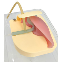 Modèle d'enseignement médical, simulateur d'endoscopie biliaire