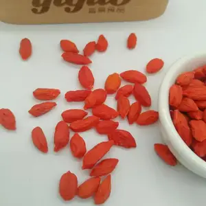 FSG China High Quality Organic dried fruit red goji for soup