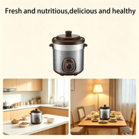 Mijoteuse électrique en céramique pour soupes et congee, usage domestique, vente directe usine