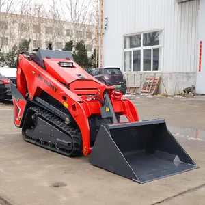 Satılık çin ünlü yüksek kalite Mini Skid direksiyonlu yükleyici