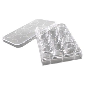 จานเพาะเลี้ยงเซลล์ 12 หลุม ยี่ห้อ Yongyue Medical แบบก้นแบน วัสดุ PP สำหรับใช้ในห้องปฏิบัติการ - Product Image 4