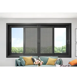 Moustiquaire de protection anti-poussière en aluminium noir fenêtres à double système coulissant en verre