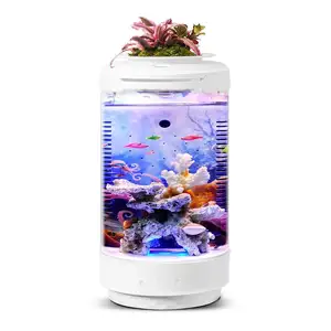 Acuario de escritorio, tanque de peces con iluminación LED y filtro de potencia