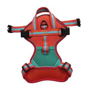 Arnés para Perro Antitirones con Costuras de Color Ajustable, Conjunto de Arnés para Perro para Paseos al Aire Libre, Collar de Moda para Perro - Product Image 6