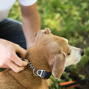 <span class=keywords><strong>Martingale</strong></span> chaîne formation collier de chien limité Cinch chaîne Pet <span class=keywords><strong>Gear</strong></span> pour pas de traction laisse marche - Product Image 5