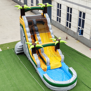 Jeux de glissades aquatiques gonflables Dolphin, équipement de parc de trampoline, glissade d'évasion, aire de jeux gonflable, château gonflable pour enfants - Product Image 5