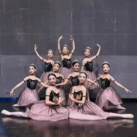 Robe de tutu de ballet noire et rose pour filles, avec strass, bretelles spaghetti, costume de scène pour enfants, danse de groupe, compétition de ballerine