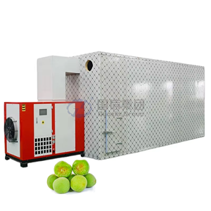 Secador de ciruelas verdes de alta calidad con control inteligente de temperatura, equipo para el procesamiento de ciruelas verdes, secador de frutas. - Product Image 1